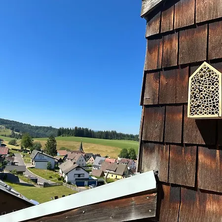 Grosse Schwarzwald-fewo Mit Naturblick In