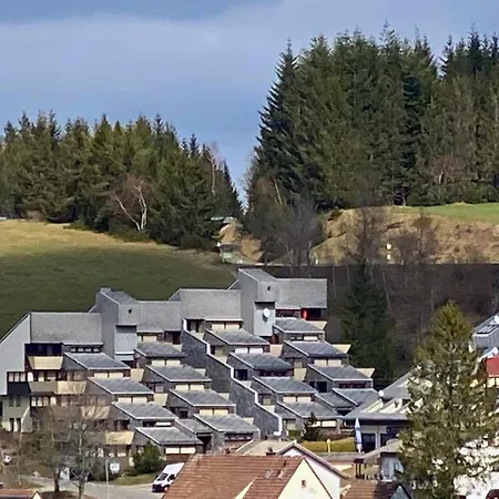 Grosse Schwarzwald-fewo Mit Naturblick In * Neukirch (Black Forest)