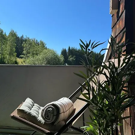 Grosse Schwarzwald-fewo Mit Naturblick In *