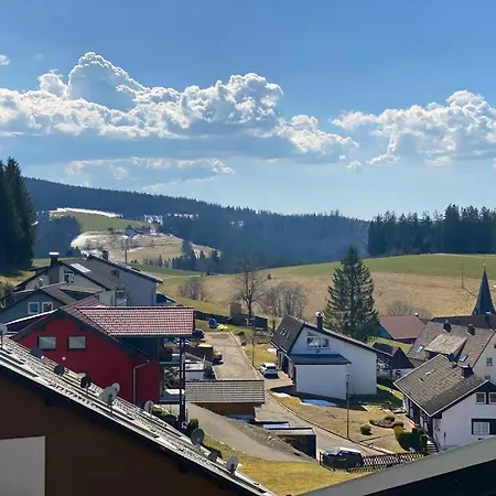 アパート Grosse Schwarzwald-fewo Mit Naturblick In Neukirch